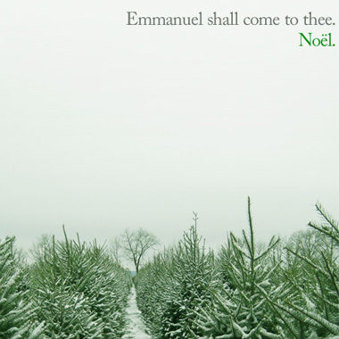 Emmanuel Shall Come to Thee