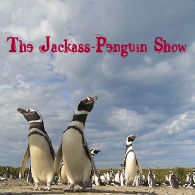 The Jackass-Penguin Show
