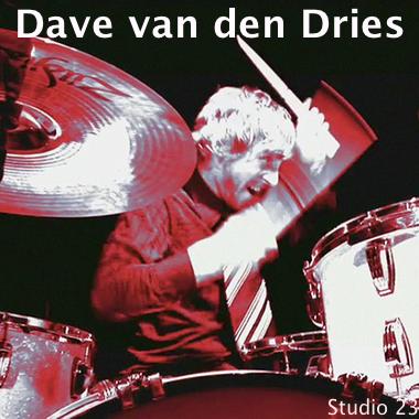 Dave van den Dries