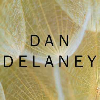 Dan Delaney