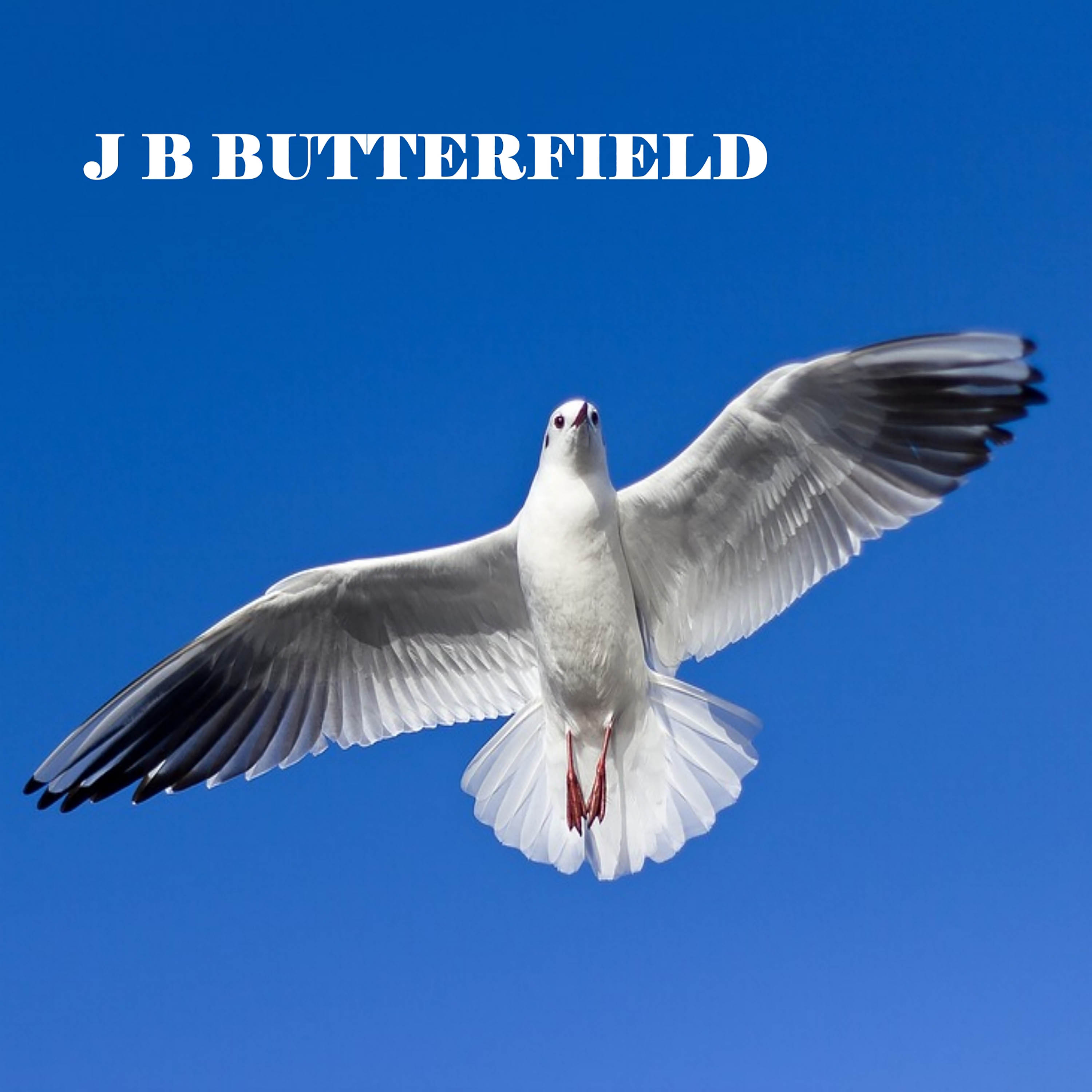 J B Butterfield