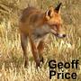 Geoff Price