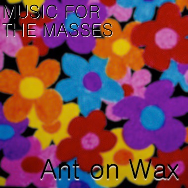 Ant on Wax