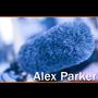 Alex Parker