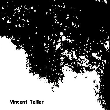 Vincent Tellier