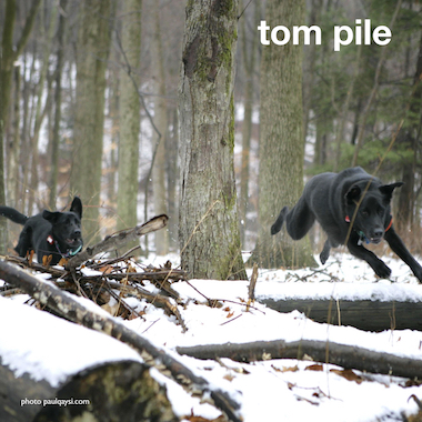 Tom Pile