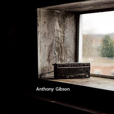 Anthony Gibson