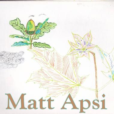 Matt Apsi