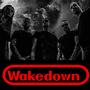 Wakedown