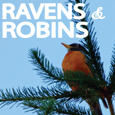 Ravens and Robins